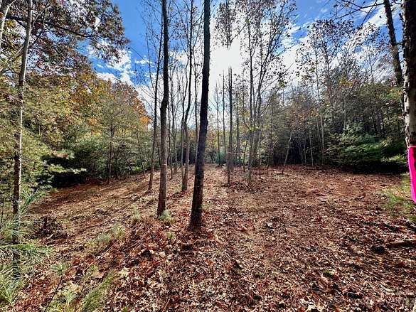 9.5 Acres of Residential Land for Sale in Marion, North Carolina