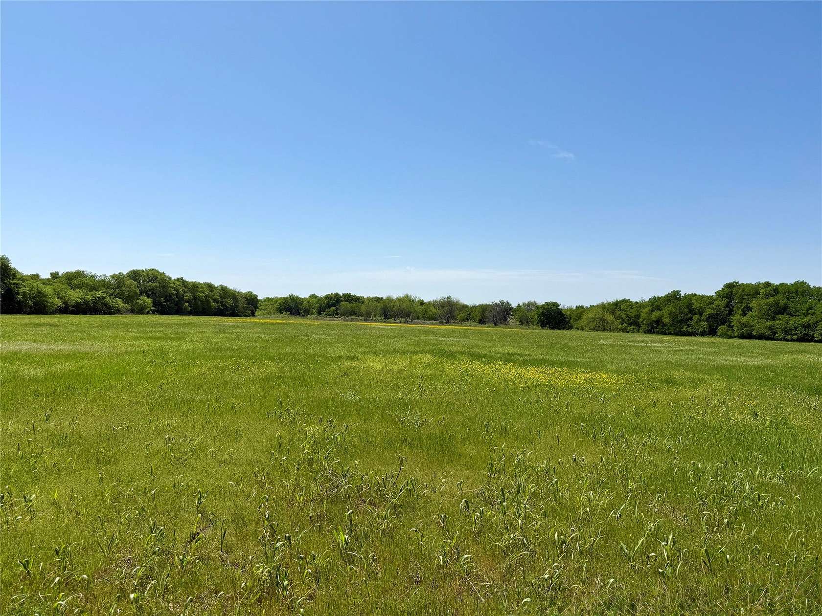 30 Acres of Land for Sale in Sanger, Texas