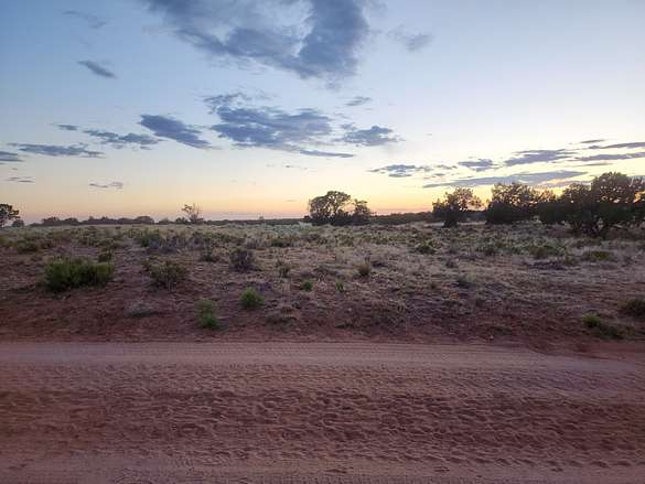 1 Acre of Residential Land for Sale in Holbrook, Arizona