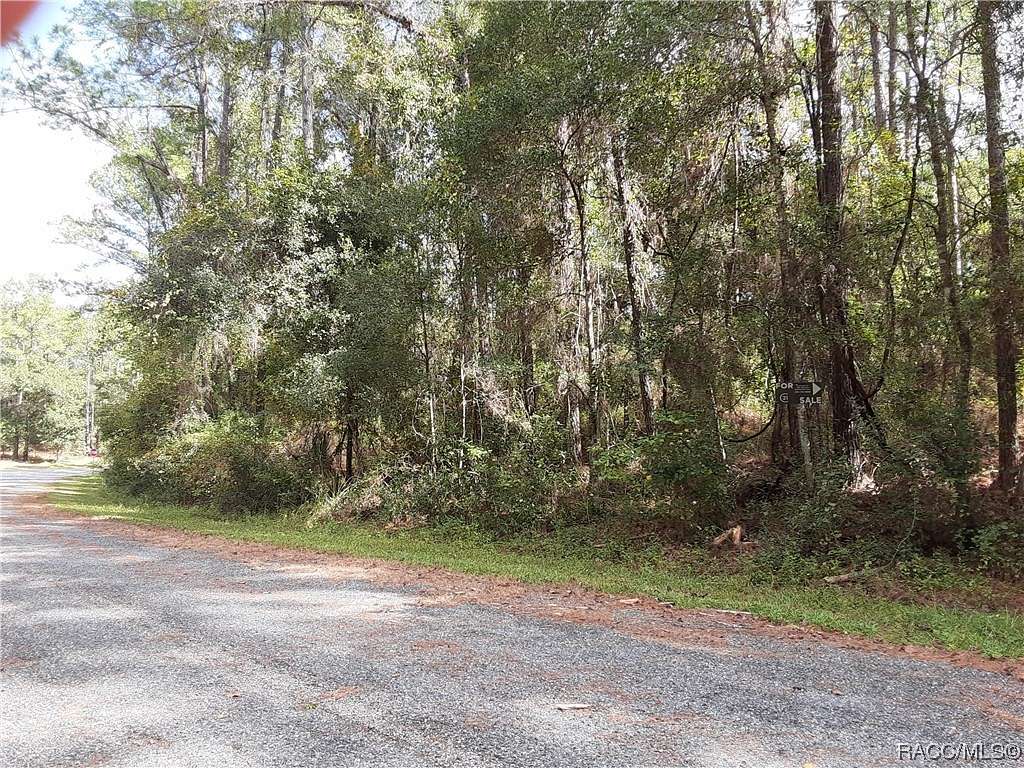 0.42 Acres of Residential Land for Sale in Citrus Springs, Florida