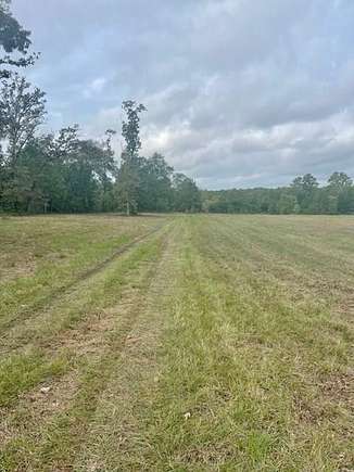 48.6 Acres of Agricultural Land for Sale in Groveton, Texas