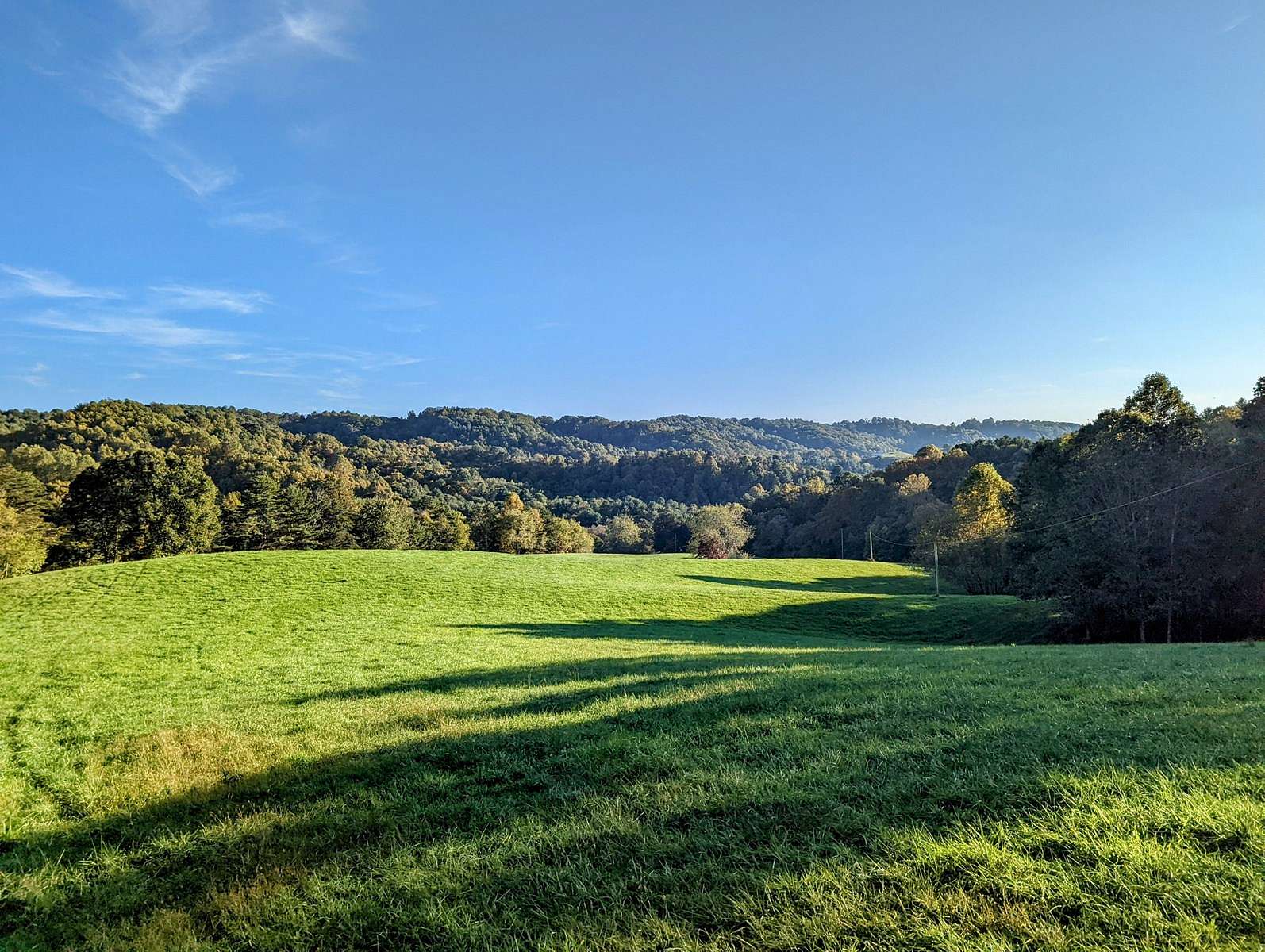 96.5 Acres of Land for Sale in Pilot, Virginia