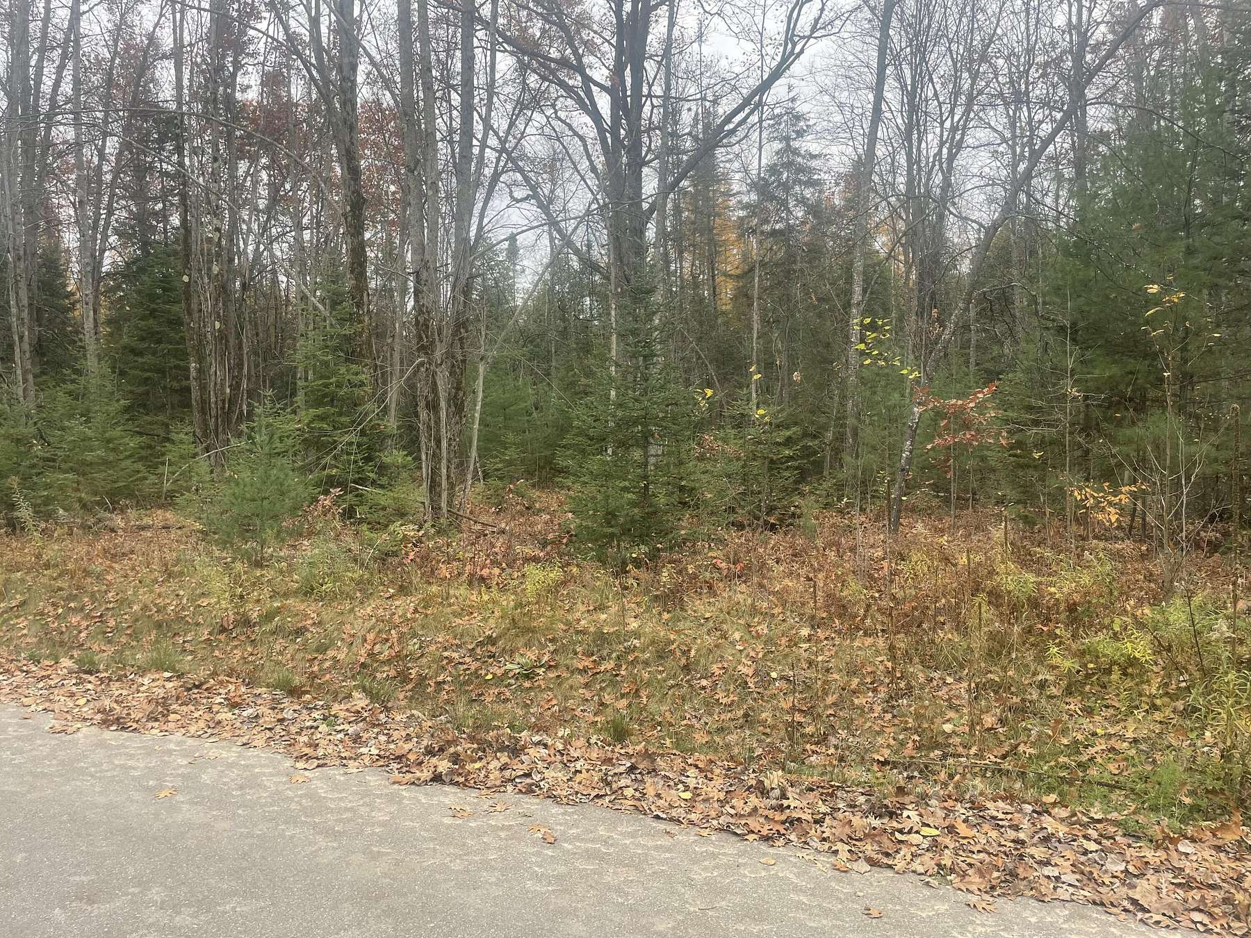 1 Acre of Land for Sale in Prudenville, Michigan