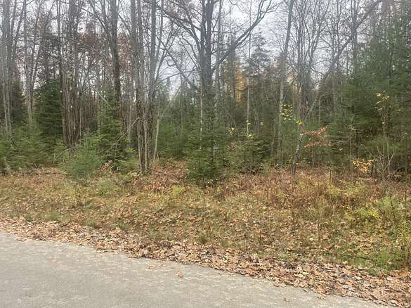 1.01 Acres of Land for Sale in Prudenville, Michigan