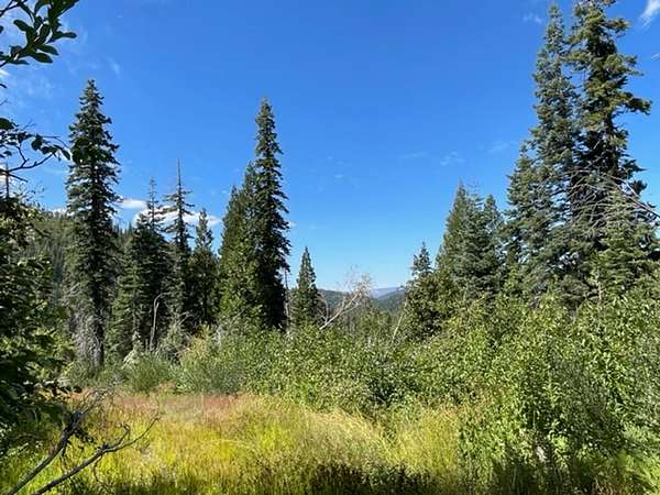 304 Acres of Recreational Land for Sale in Bucks Lake, California
