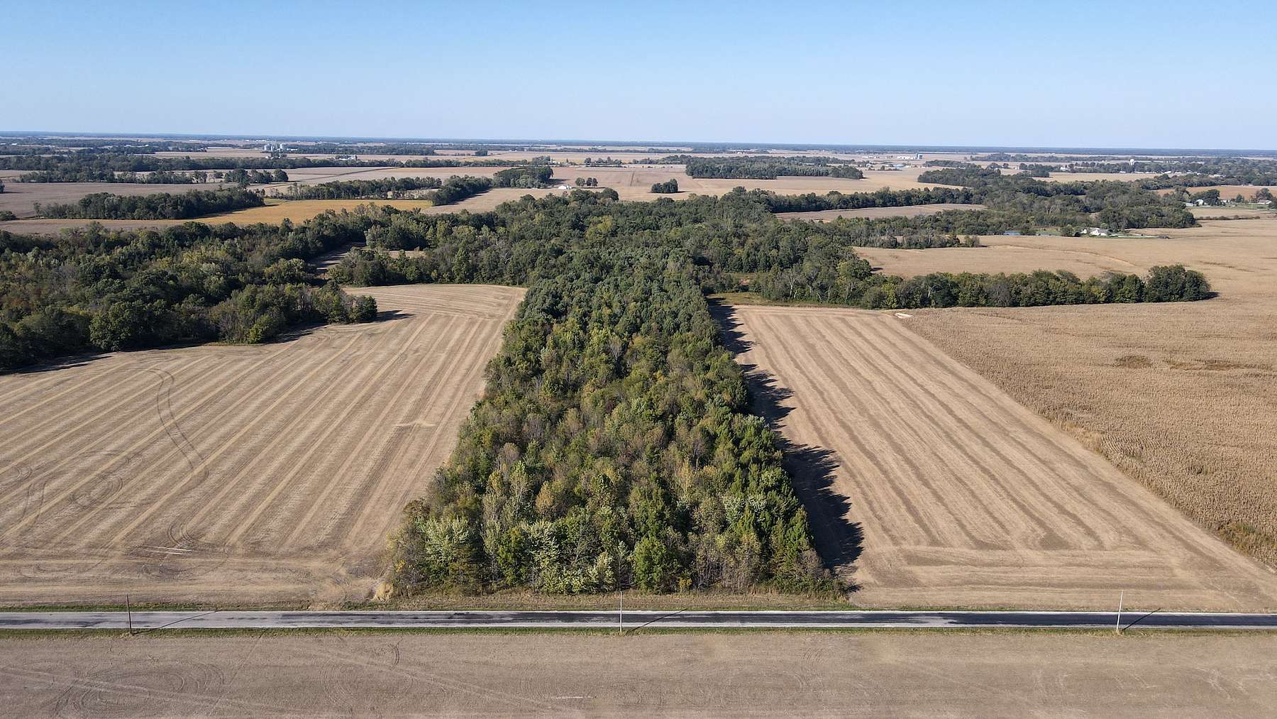 20 Acres of Recreational Land for Sale in Odin, Illinois