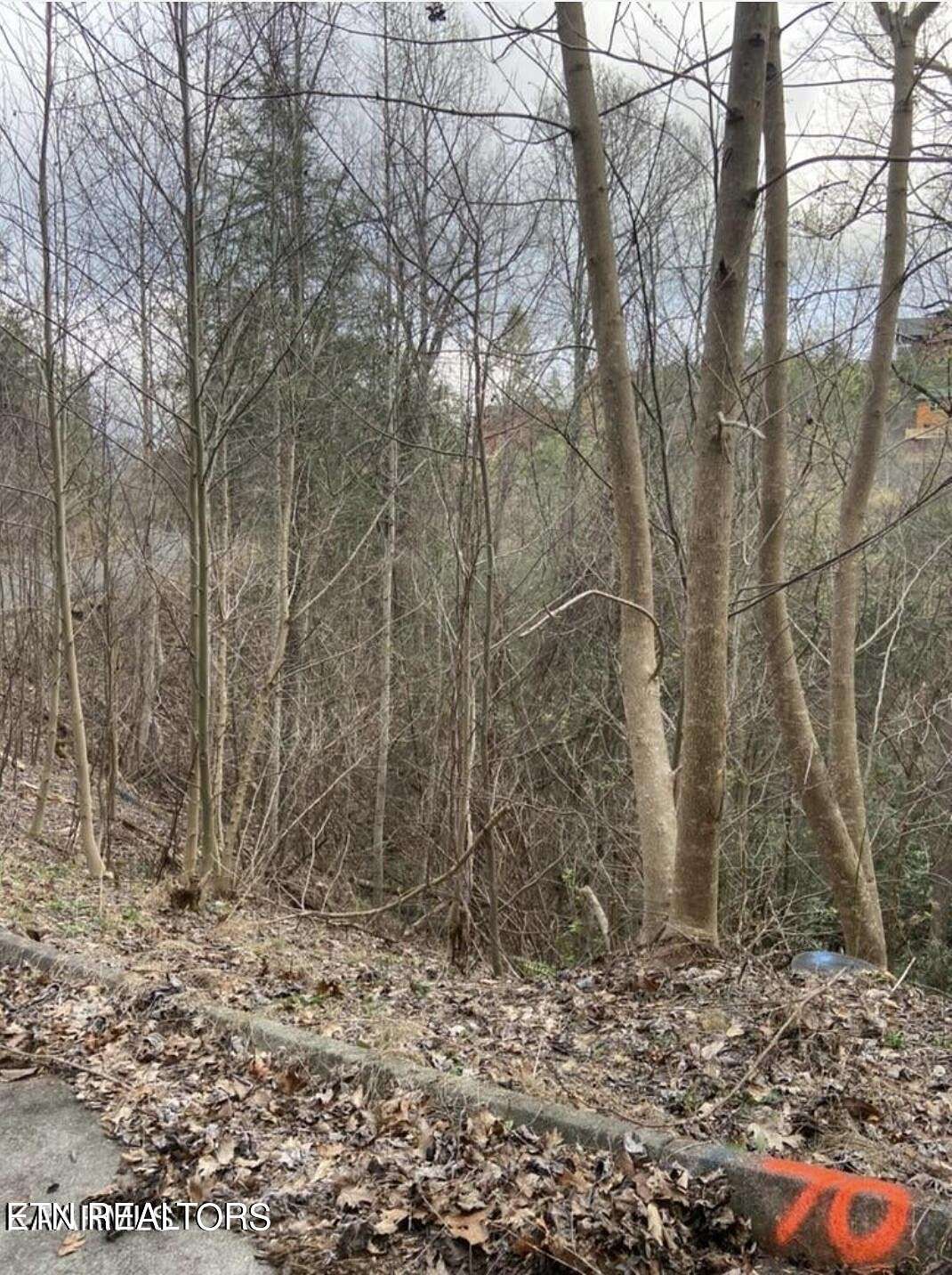 0.06 Acres of Residential Land for Sale in Sevierville, Tennessee