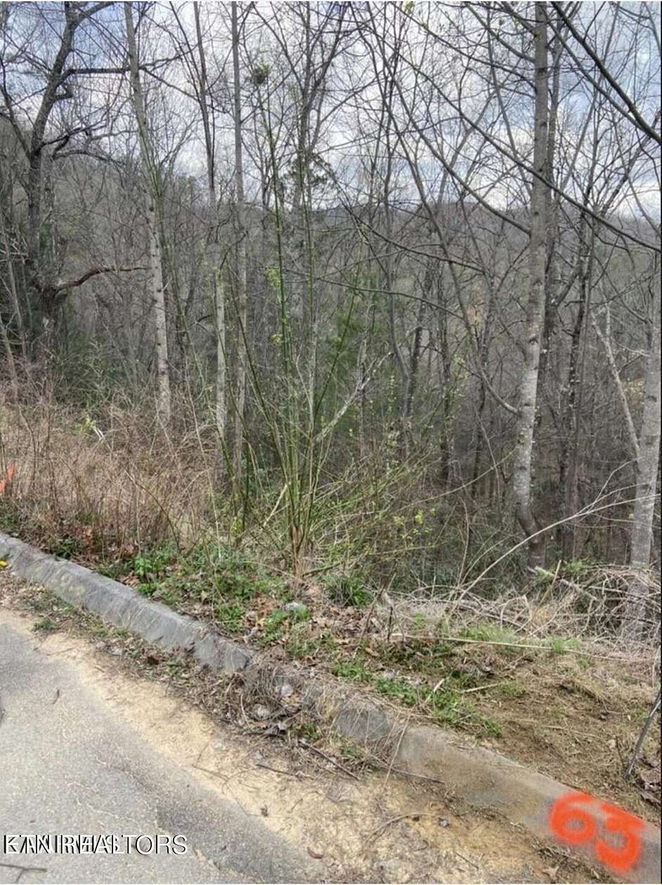 0.05 Acres of Residential Land for Sale in Sevierville, Tennessee