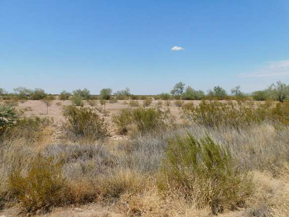 12.1 Acres of Recreational Land for Sale in Brenda, Arizona