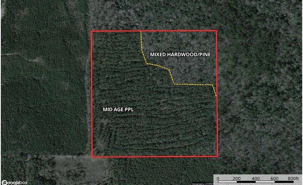 40 Acres of Land for Sale in Richton, Mississippi