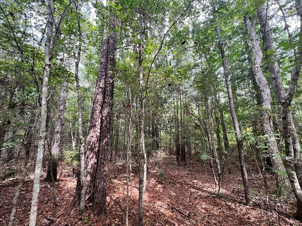 40 Acres of Land for Sale in Richton, Mississippi