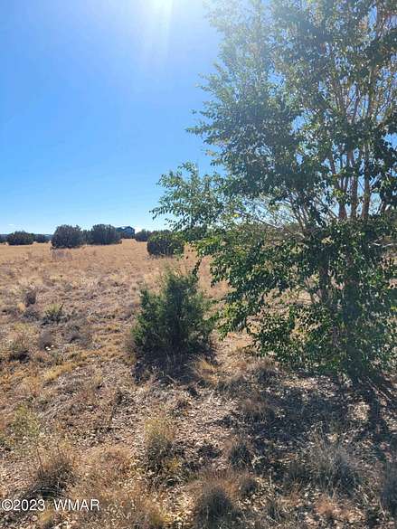 1.3 Acres of Residential Land for Sale in Shumway, Arizona