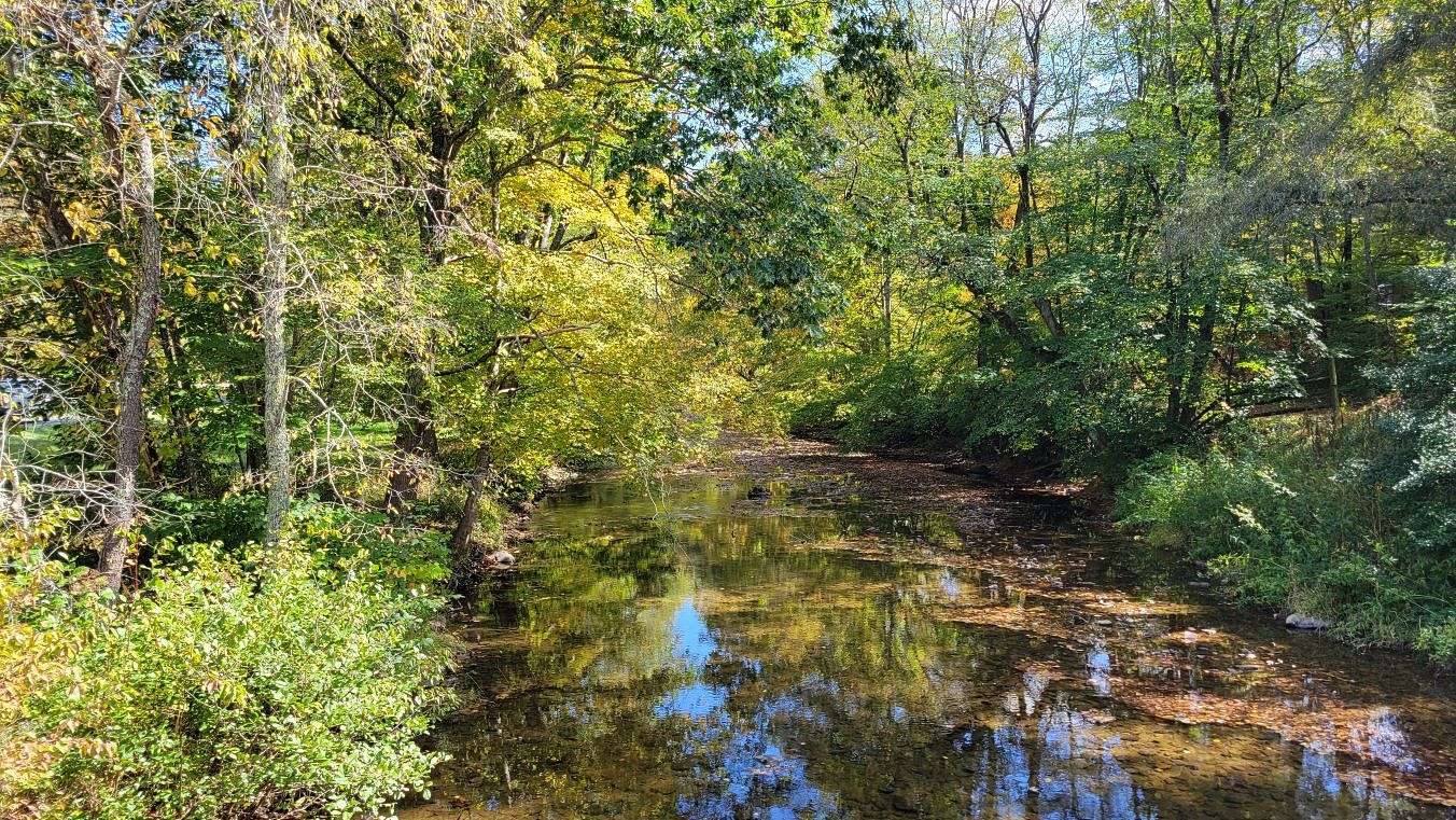 33.5 Acres of Recreational Land & Farm for Sale in Mouth of Wilson