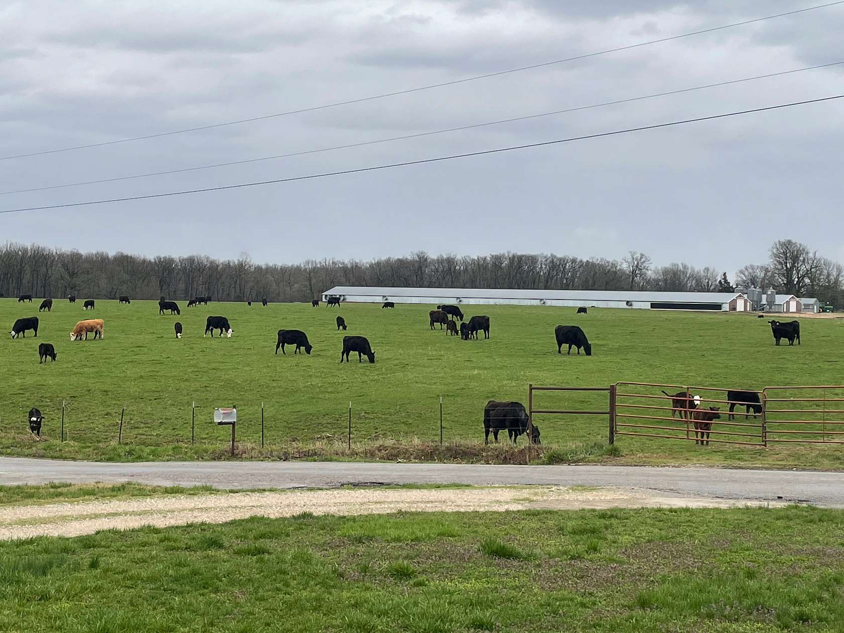 Missouri Cattle Ranches For Sale 189 Properties LandSearch