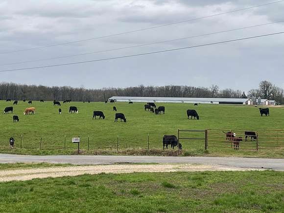 700 Acres of Agricultural Land for Sale in Purdy, Missouri