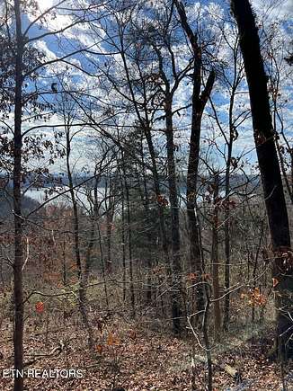 29.5 Acres of Land for Sale in Louisville, Tennessee