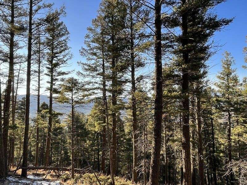 0.81 Acres of Residential Land for Sale in Angel Fire, New Mexico