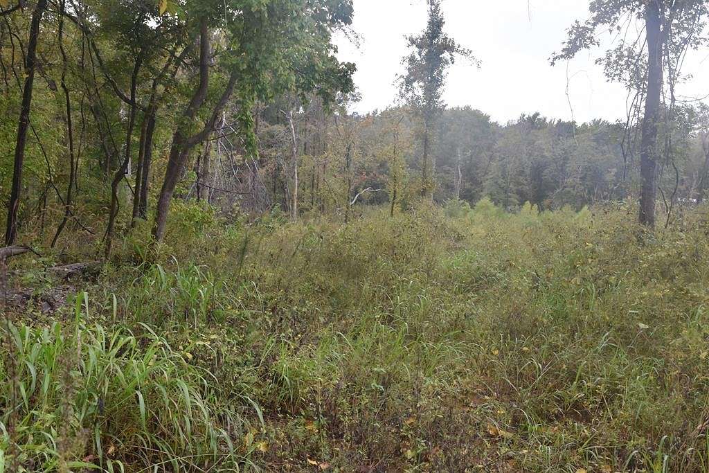 7.7 Acres of Land for Sale in Palestine, Texas