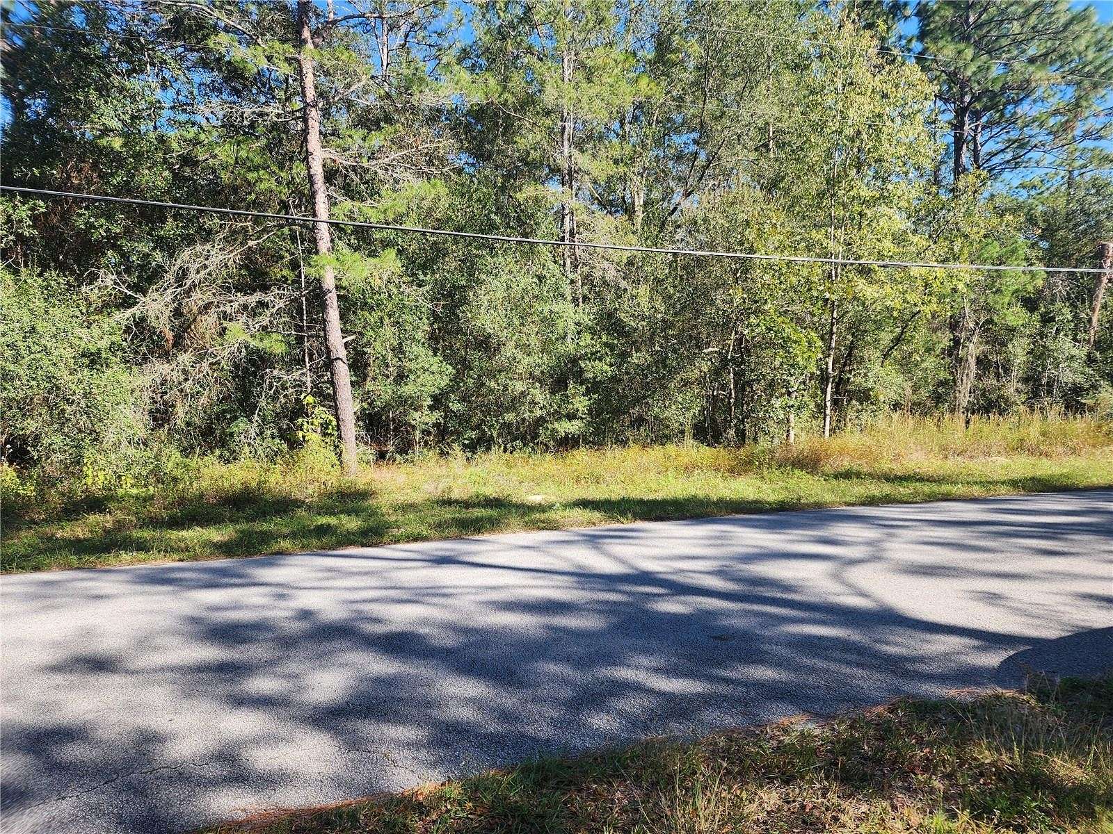 0.96 Acres of Residential Land for Sale in Hernando, Florida