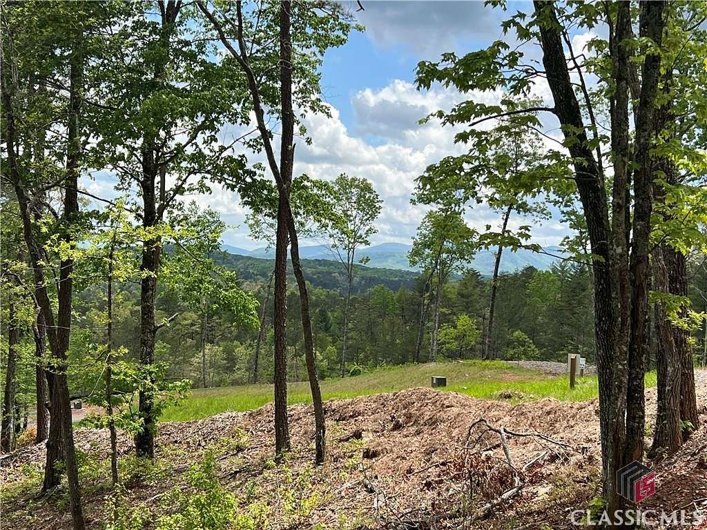 0.92 Acres of Residential Land for Sale in Mineral Bluff, Georgia