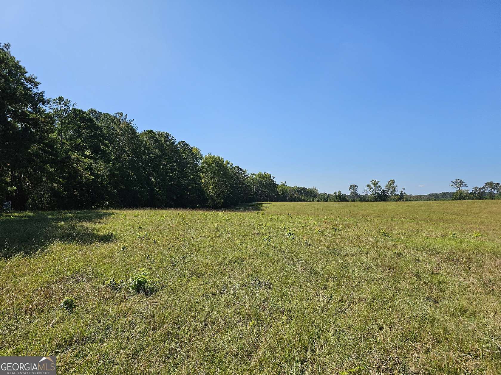 15.8 Acres of Land for Sale in Monticello, Georgia
