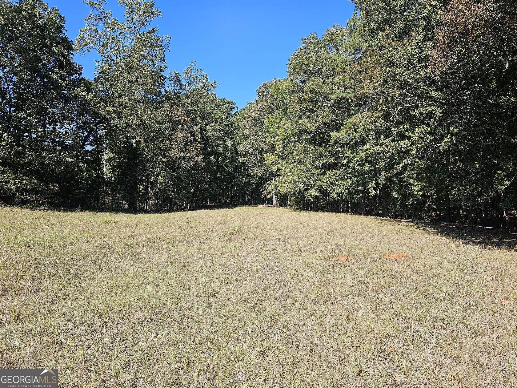 12 Acres of Land for Sale in Monticello, Georgia