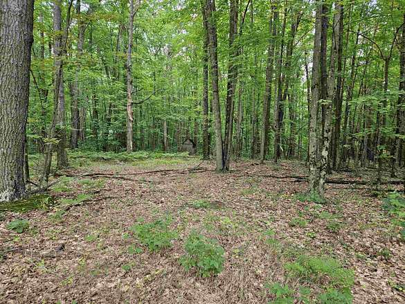 10 Acres of Recreational Land for Sale in Harrison, Michigan