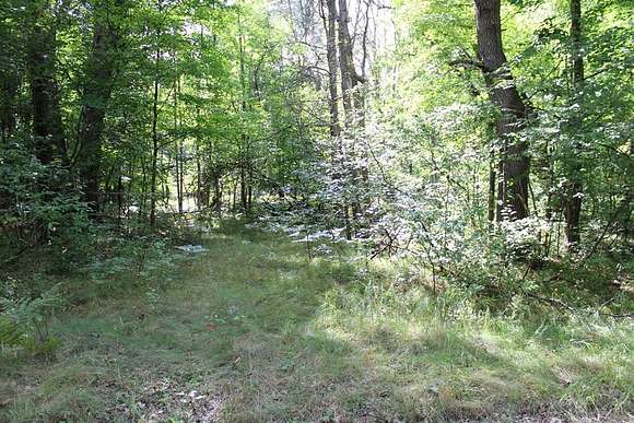 0.77 Acres of Residential Land for Sale in Farwell, Michigan