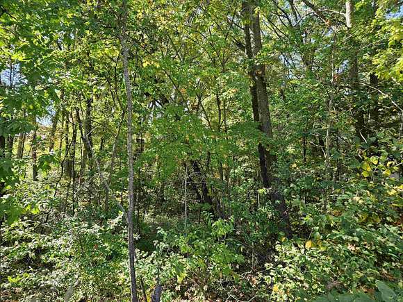 0.31 Acres of Residential Land for Sale in Harrison, Michigan