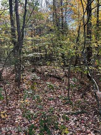 5.6 Acres of Residential Land for Sale in Athens, Tennessee