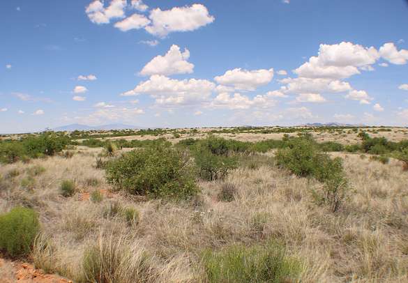 36.5 Acres of Land for Sale in St. David, Arizona
