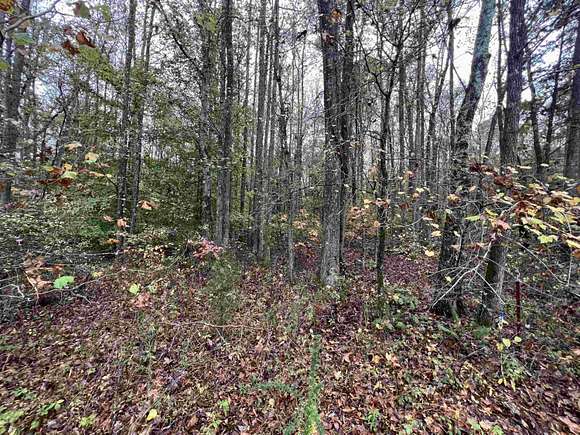 10.5 Acres of Land for Sale in Cedar Grove, Tennessee