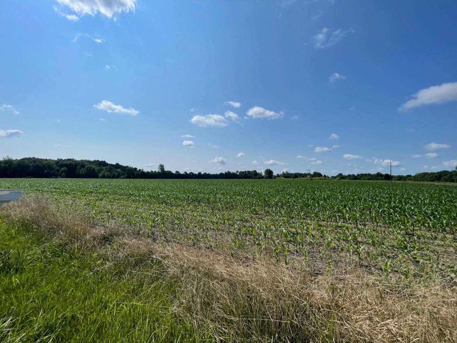 29.781 Acres of Agricultural Land for Sale in Moores Hill, Indiana