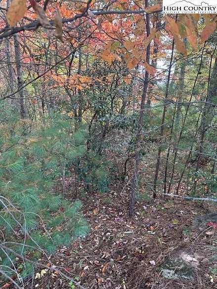 9.8 Acres of Land for Sale in McGrady, North Carolina