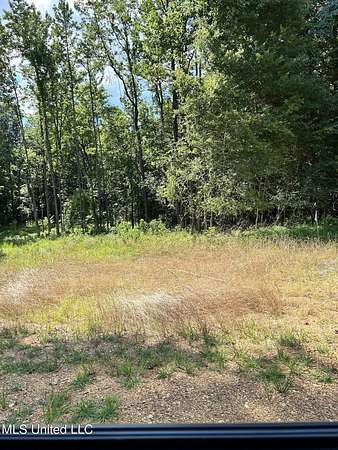 10.1 Acres of Land for Sale in Hernando, Mississippi