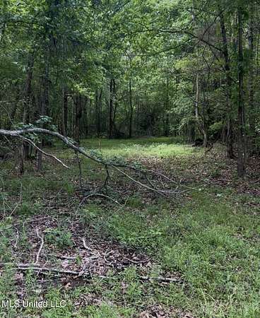12.2 Acres of Land for Sale in Hernando, Mississippi
