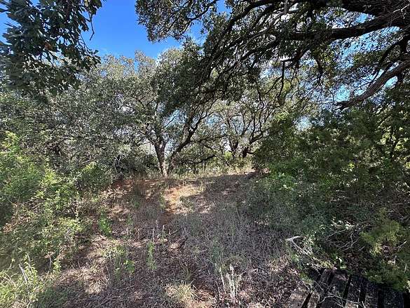 20.1 Acres of Recreational Land for Sale in Merkel, Texas