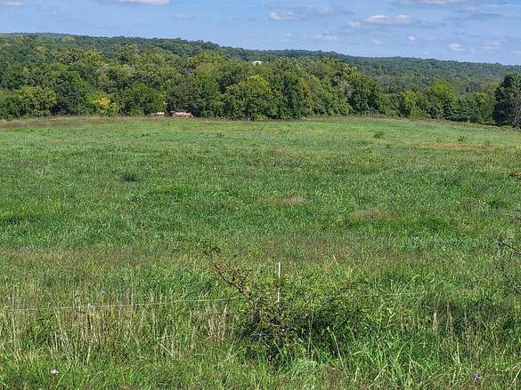 51.5 Acres of Recreational Land & Farm for Sale in Cabool, Missouri