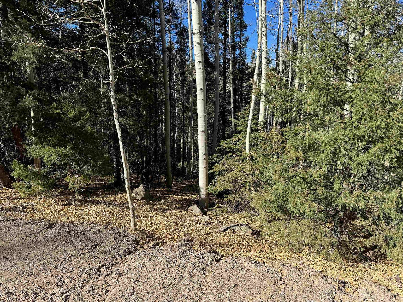 0.58 Acres of Residential Land for Sale in Angel Fire, New Mexico