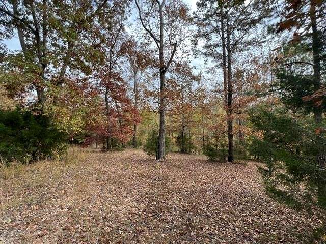 3 Acres of Residential Land for Sale in Savannah, Tennessee