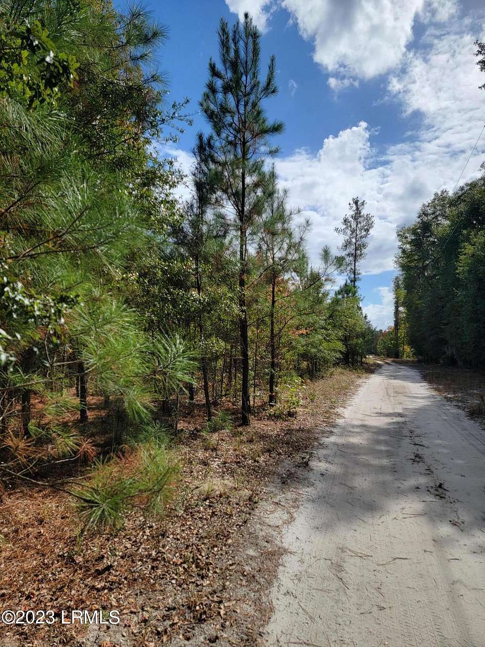 75 Acres of Recreational Land for Sale in Brunson, South Carolina
