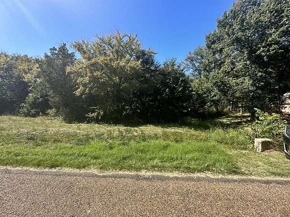 0.24 Acres of Residential Land for Sale in Mabank, Texas