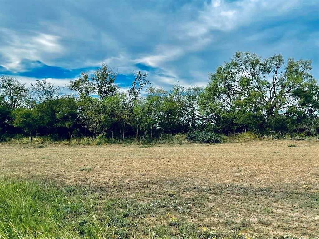 0.34 Acres of Residential Land for Sale in Goldthwaite, Texas