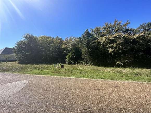 0.32 Acres of Residential Land for Sale in Mabank, Texas