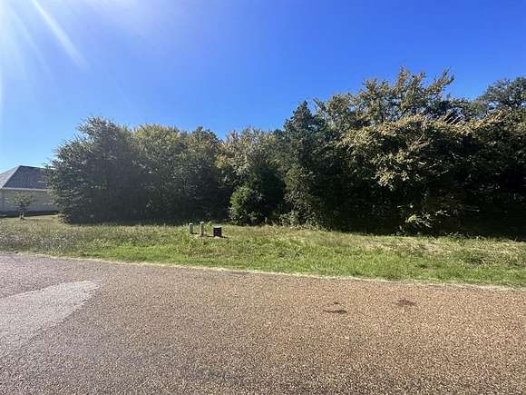 0.318 Acres of Residential Land for Sale in Mabank, Texas