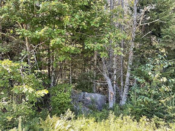 7 Acres of Residential Land for Sale in Whiting, Maine