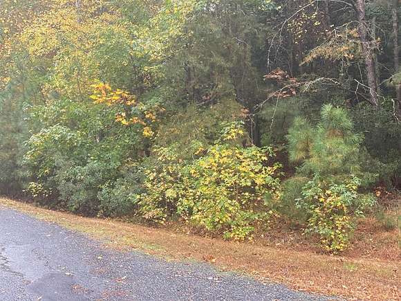 0.34 Acres of Land for Sale in Greenbackville, Virginia