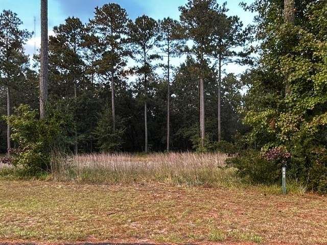 0.61 Acres of Residential Land for Sale in Townsend, Georgia