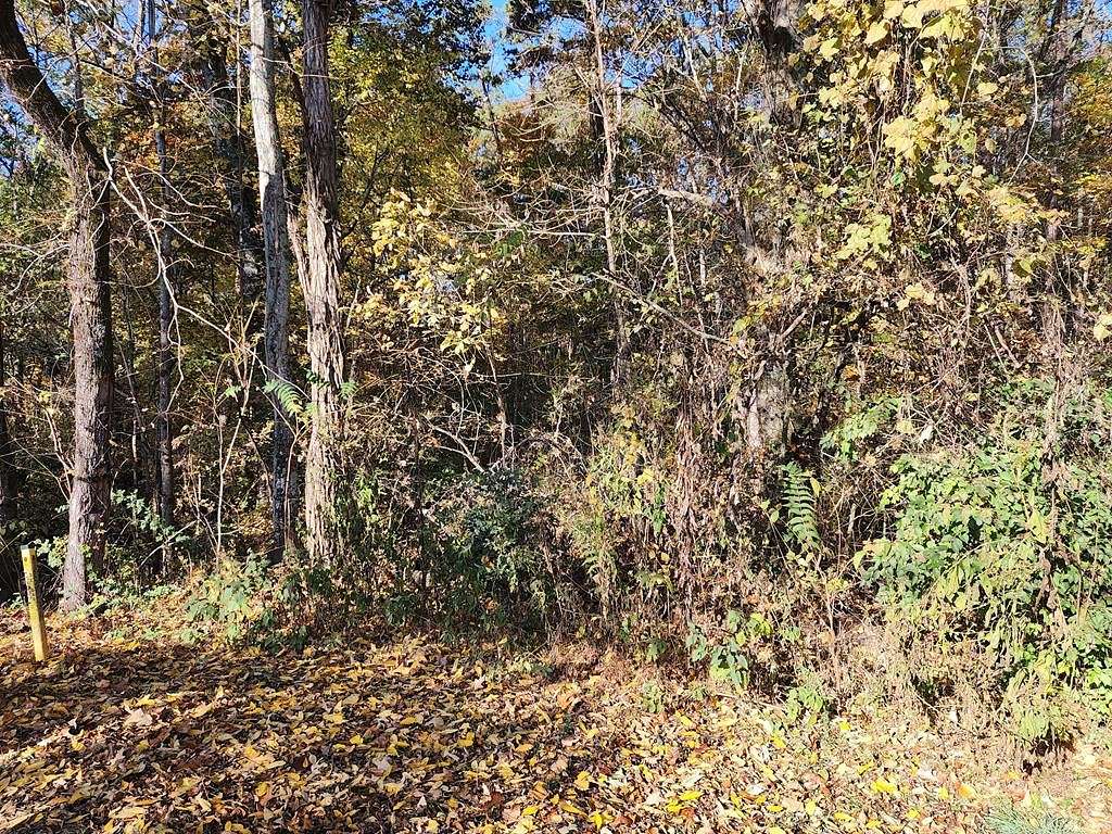 6.4 Acres of Residential Land for Sale in Dandridge, Tennessee