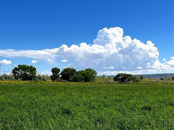 244 Acres of Agricultural Land for Sale in Elmo, Utah